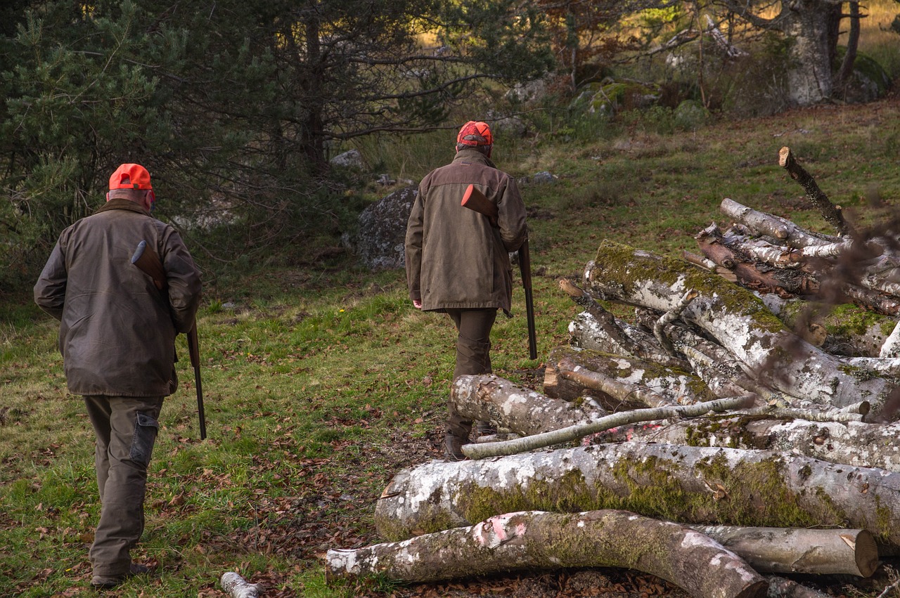 Chasseurs