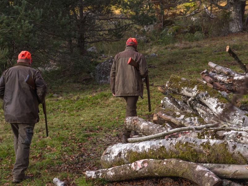 Chasseurs